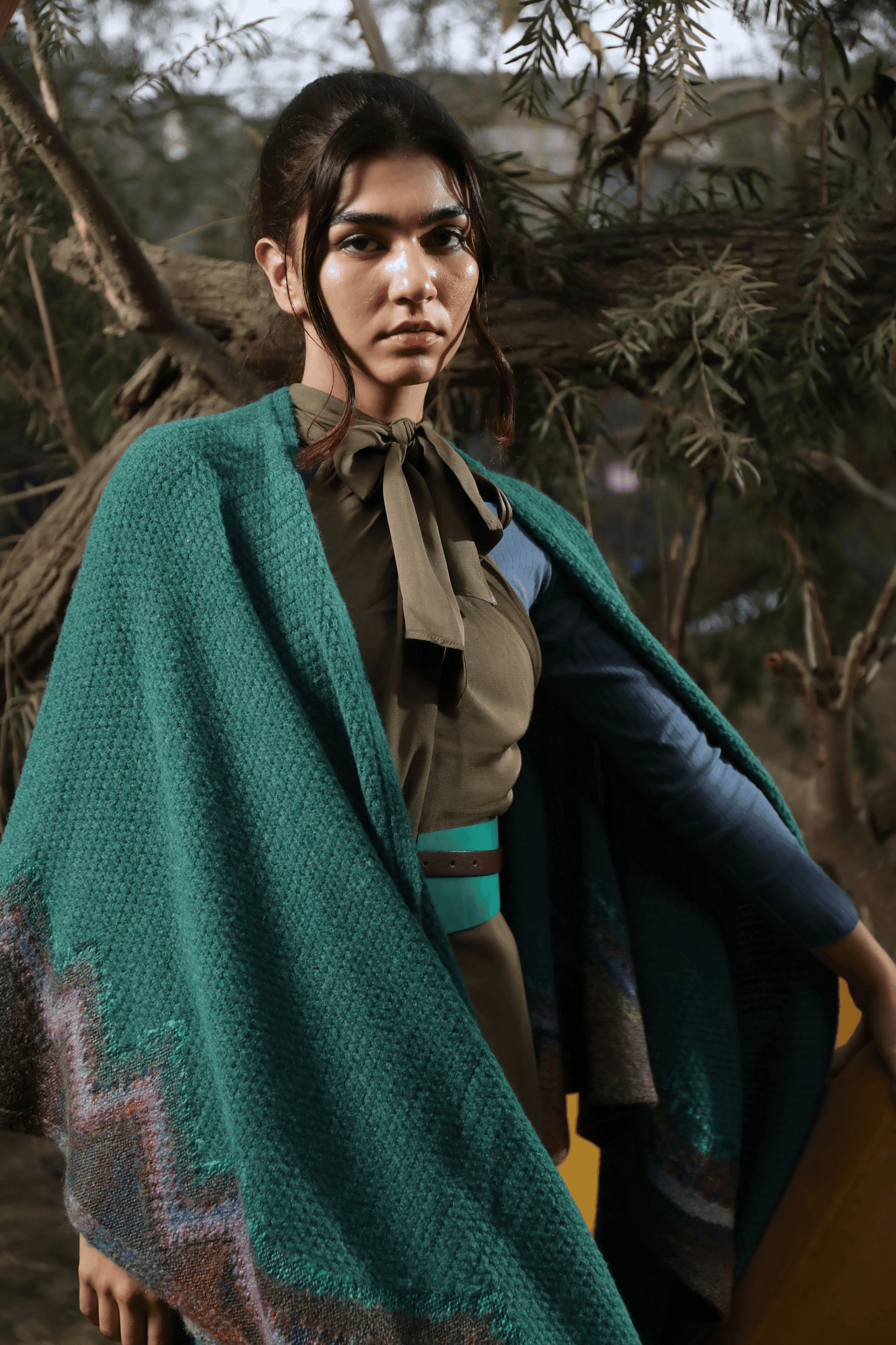 Green Hummingbird Cape