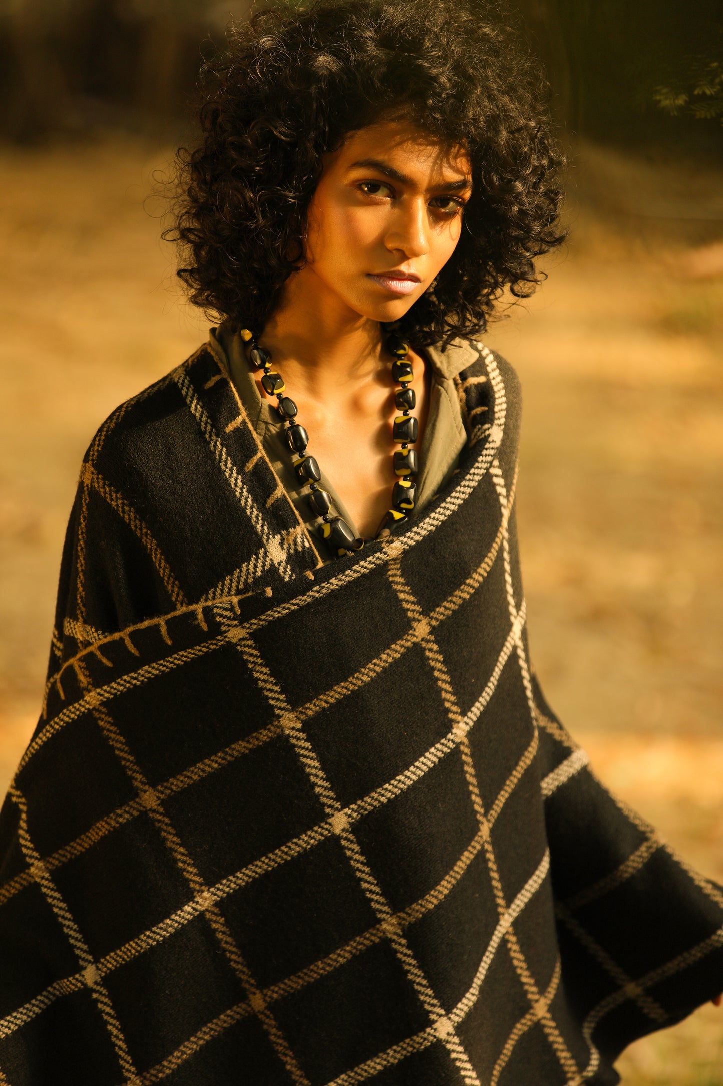 Plectrodera Checkered Cape