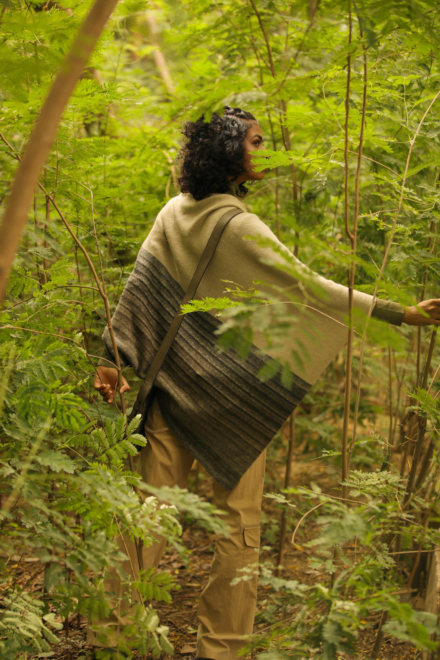 European Green Woodpecker Poncho